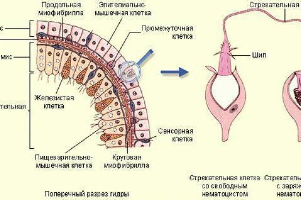 Как зайти на кракен kr2web in