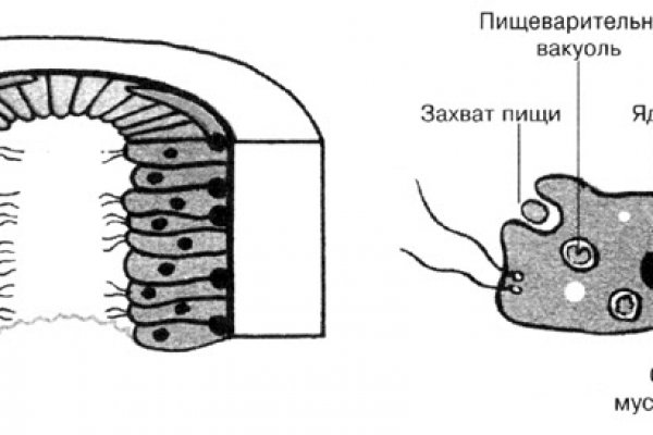 Кракен шоп ссылки