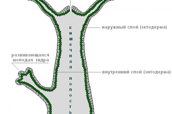 Кракен сайт сегодня