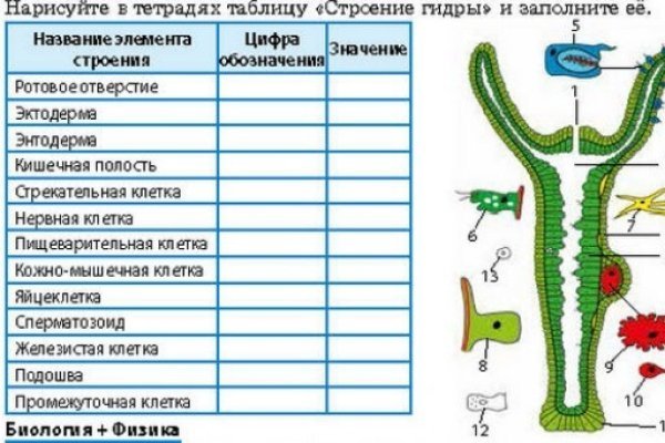 Мега или кракен