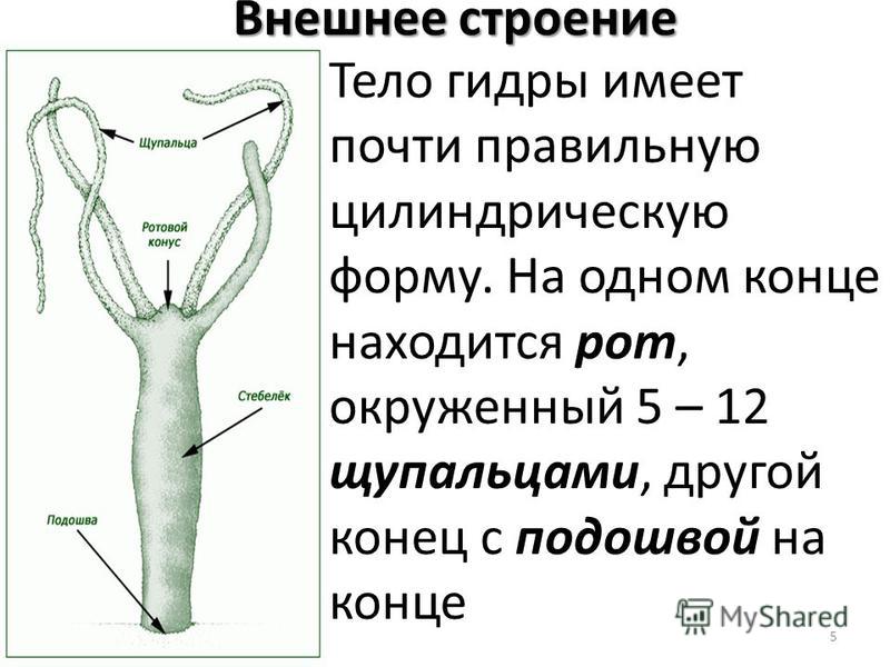 Кракен продажа